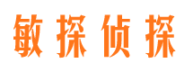 文山市私家侦探